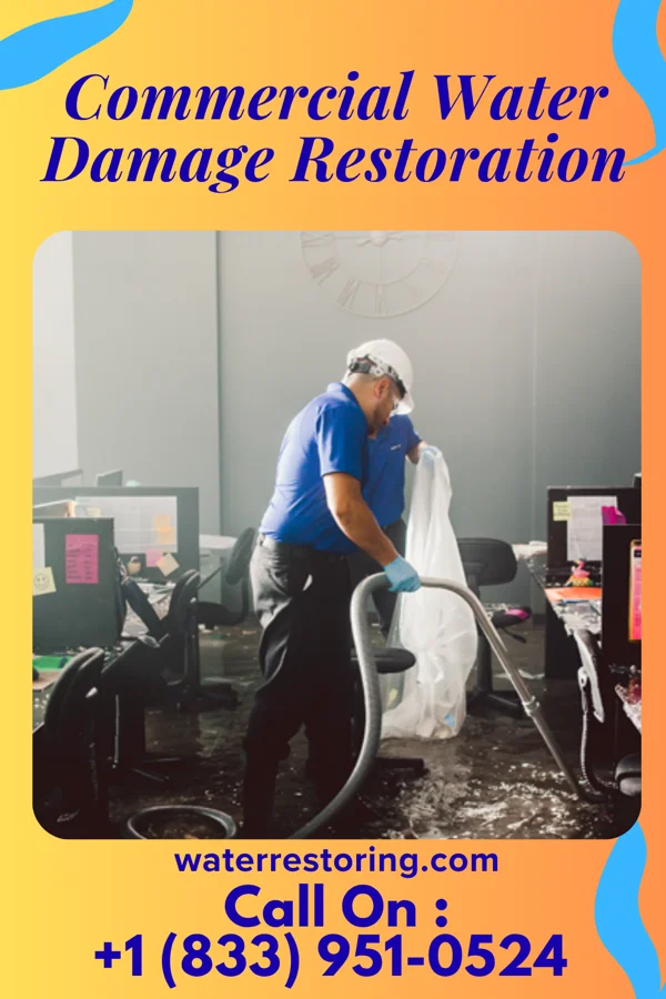 Commercial Water Damage Restoration in Pine Mountain Club, CA
